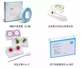智启发光免疫,赋能精准快检